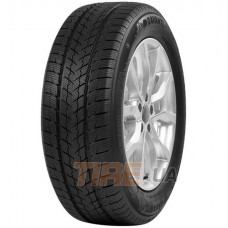 Davanti Wintoura SUV 315/35 R20 110V XL