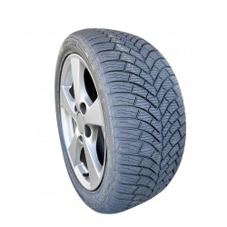 Warrior Wasp-Plus 215/55 R16 97V XL